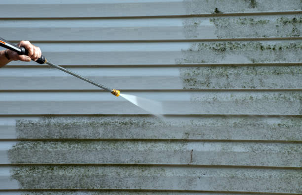 Best Office Mold Removal Services  in Mcleansboro, IL