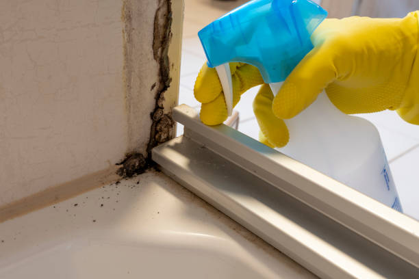 Best Crawl Space Mold Removal  in Mcleansboro, IL