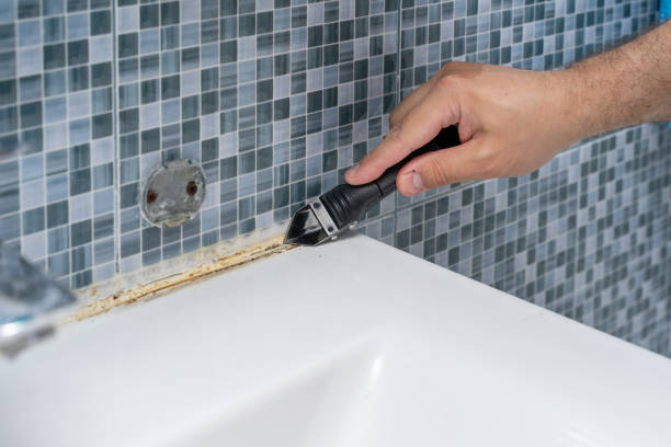 Best Residential Mold Removal  in Mcleansboro, IL